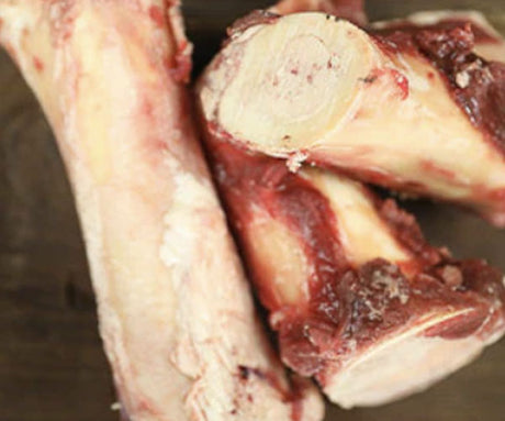 Feed Your Dog Marrow Bones for a Nutrition Boost