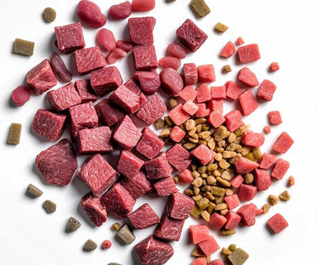 Mixing Raw Food with Kibble: A Balanced Approach to Your Dog's Diet