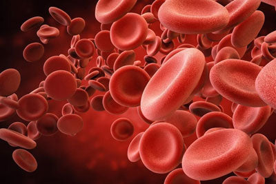 Eat Grass Finished Beef Liver for an ALA Boost