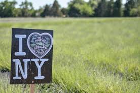 How Local Ranches Sustain Your Community’s Environment