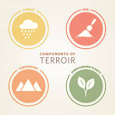 Discovering the Terroir of Acabonac Farms Beef