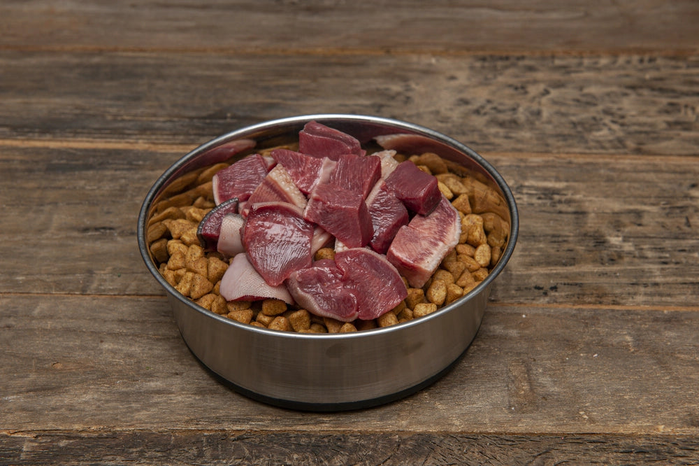 Benefits of raw diet for dogs