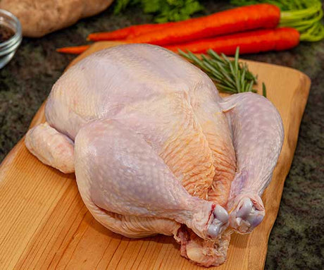 homemade chicken stock