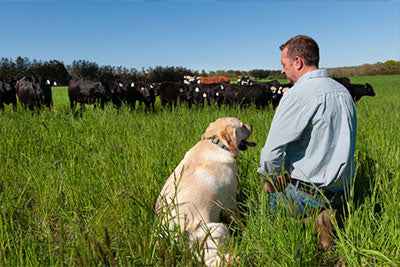 The Real Story Behind Increasingly Expensive Groceries