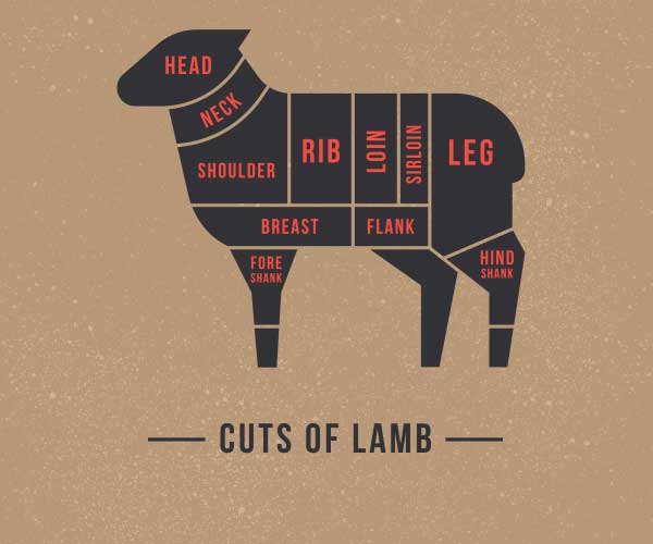 The different cuts of lamb steaks