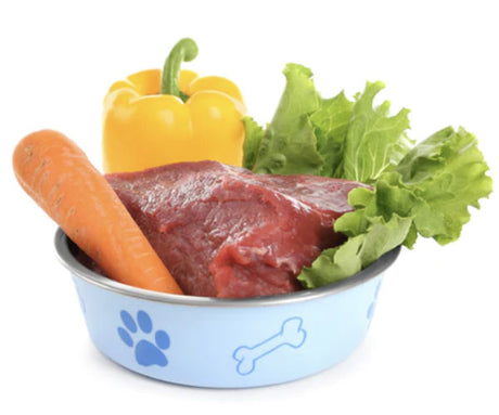 How To Switch Your Dog To A Raw Dog Food Diet
