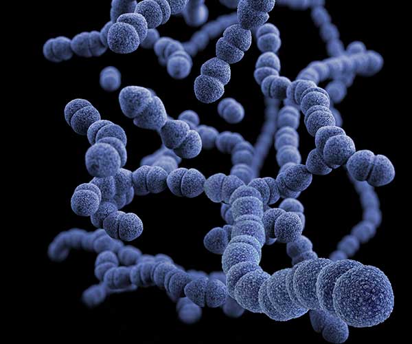 The Silent Threat: How Chronic Inflammation Influences Your Gut Health