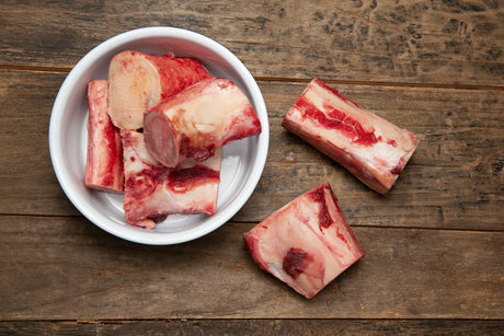 Is bone marrow good for dogs