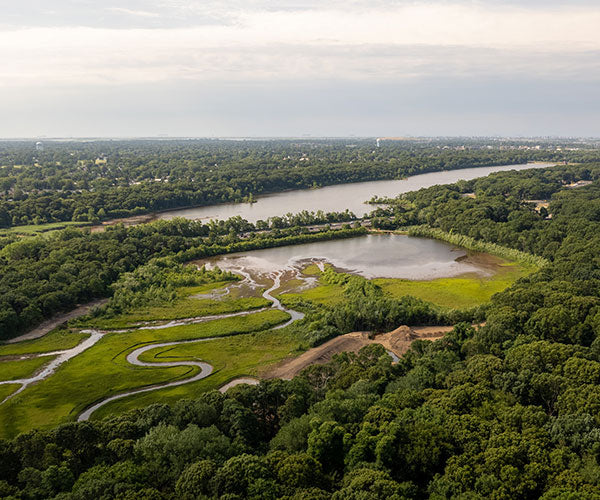 Regenerative Farming and Biodiversity: Boosting Nature's Balance