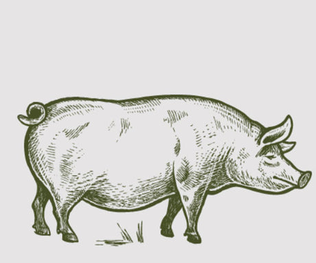 The Truth About Pork Raw Dog Food
