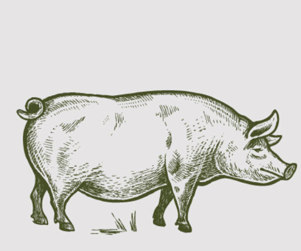 The Truth About Pork Raw Dog Food