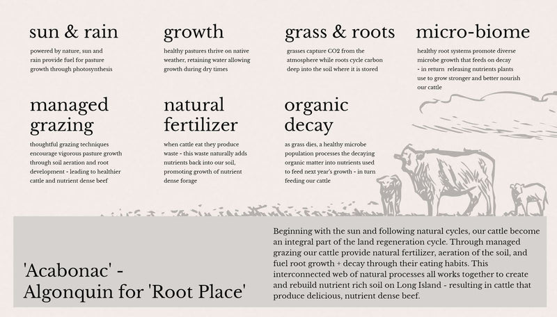 Regrow Ranchers In the Field | Acabonac Farms