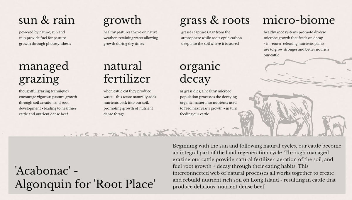 Regenerative ranching