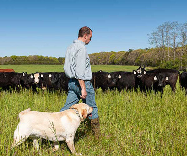 Carbon Sinks and Rebuilding Topsoil: A Symbiotic Solution at Acabonac Farms