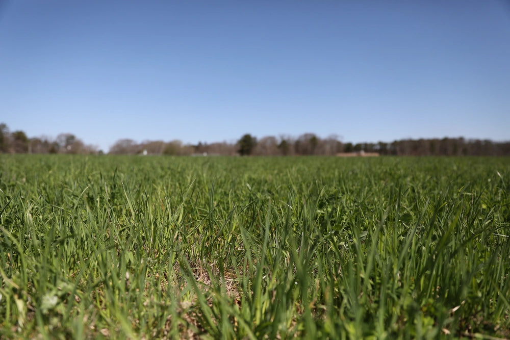 Why do farmers use herbicides