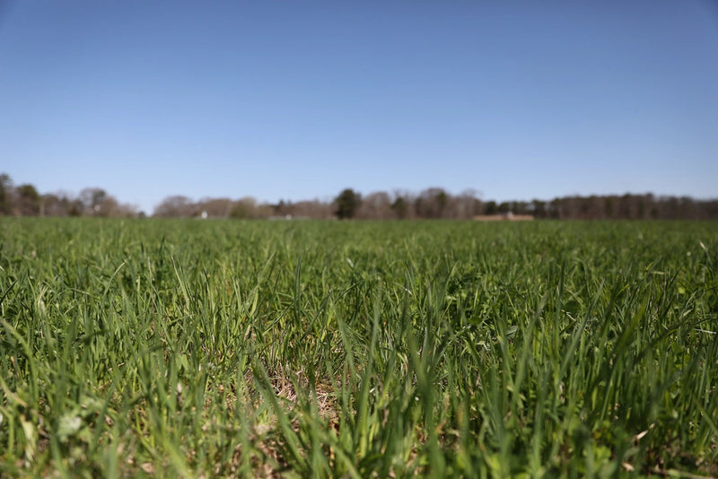 Why do farmers use herbicides